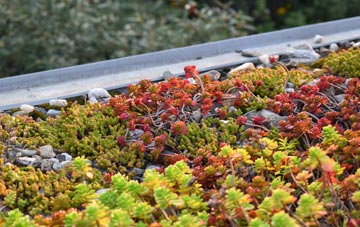 the cost of Shimpling Street green roof installation