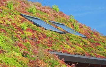 Shimpling Street living roof systems