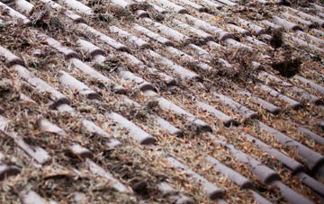 Shimpling Street roof cleaning companies