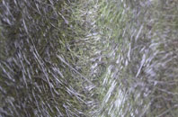 Shimpling Street fibreglass roof work